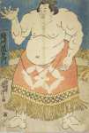Utagawa Yoshitora The Sumo Wrestler Sakaigawa Namiemon  - Hermitage